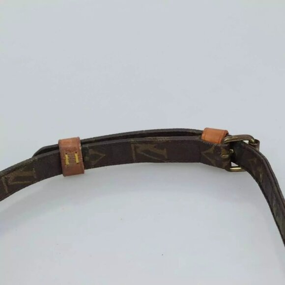 LOUIS VUITTON Monogram Amazon Shoulder Bag - Picture 5 of 16